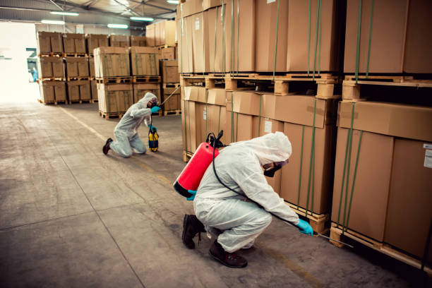 Best Affordable Pest Control Services  in Swedesboro, NJ