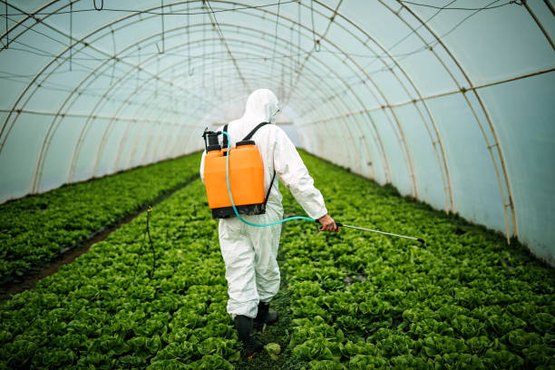 Best Mosquito Control Services  in Swedesboro, NJ