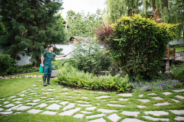 Best Best Pest Control Companies  in Swedesboro, NJ