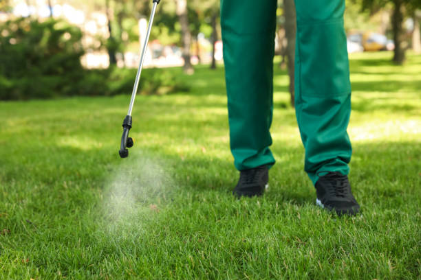 Best Flea Control Services  in Swedesboro, NJ