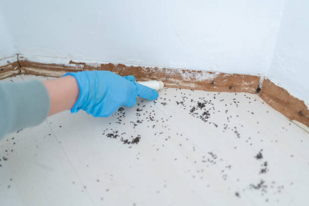 Professional Pest Control in Swedesboro, NJ