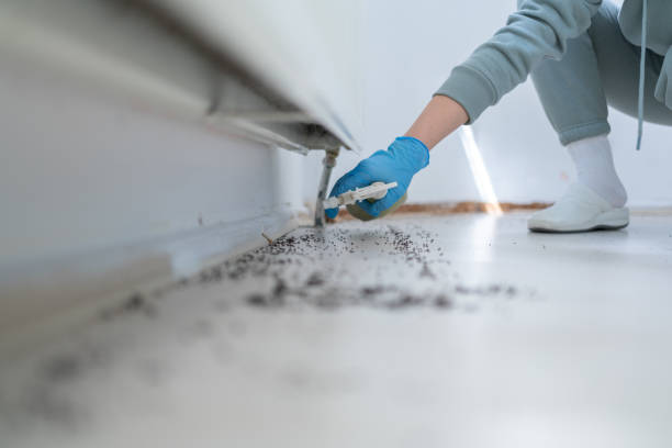 Best Local Pest Control Services  in Swedesboro, NJ