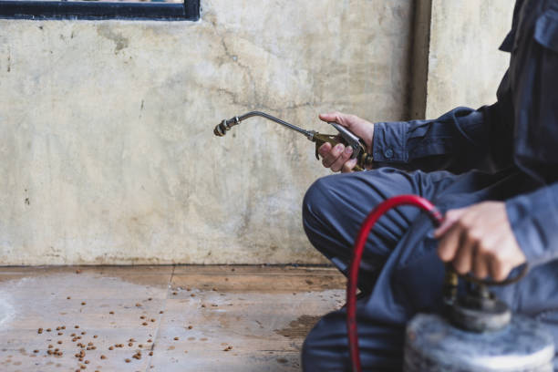 Best Rat Extermination Near Me  in Swedesboro, NJ