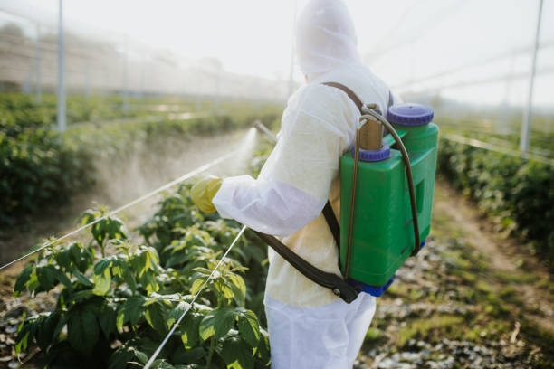 Best Emergency Pest Control  in Swedesboro, NJ